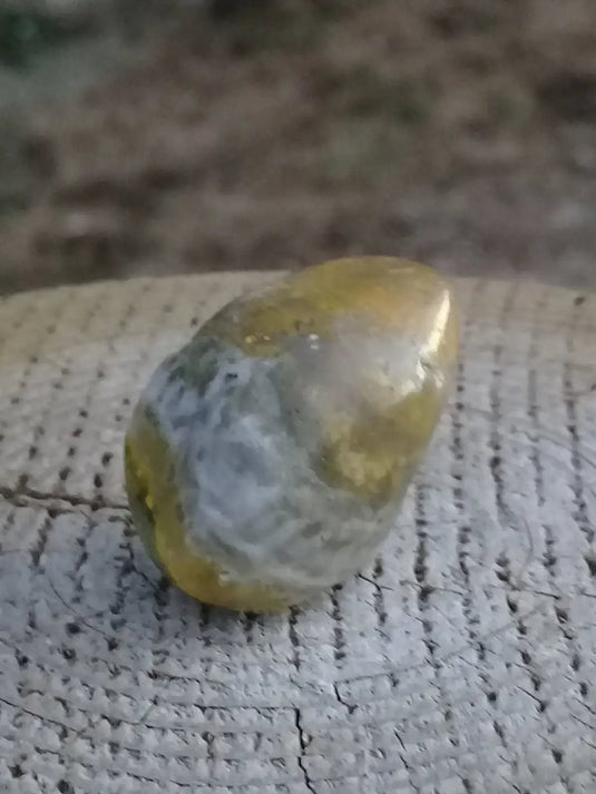 Jaspe Bourdon ou Jaspe Bumble-Bee pierre roulée Grade A +++ Rare Jaspe Bourdon / Jaspe Bumble-Bee