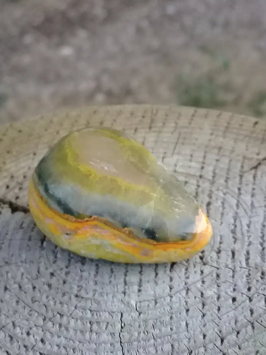 Jaspe Bourdon ou Jaspe Bumble-Bee pierre roulée Grade A ++++ Rare Jaspe Bourdon / Jaspe Bumble-Bee