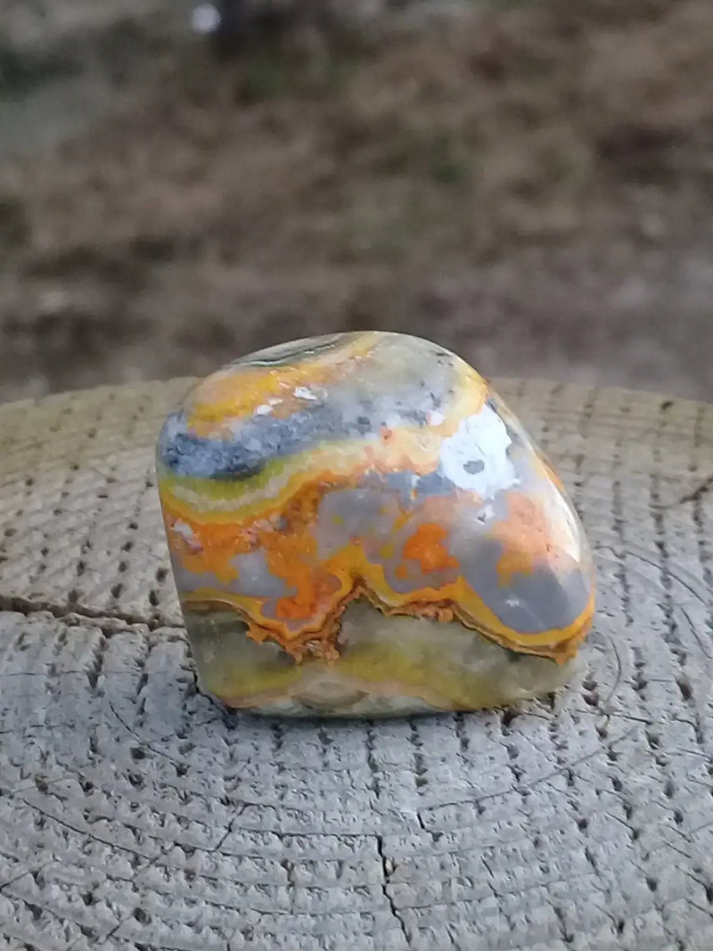 Chargez l&#39;image dans la visionneuse de la galerie, Jaspe Bourdon ou Jaspe Bumble-Bee pierre roulée Grade A ++++ Rare Jaspe Bourdon / Jaspe Bumble-Bee
