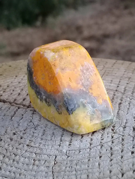 Jaspe Bourdon ou Jaspe Bumble-Bee pierre roulée Grade A ++++ Rare Jaspe Bourdon / Jaspe Bumble-Bee