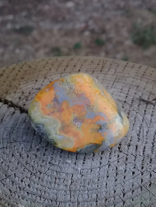 Jaspe Bourdon ou Jaspe Bumble-Bee pierre roulée Grade A ++++ Rare Jaspe Bourdon / Jaspe Bumble-Bee