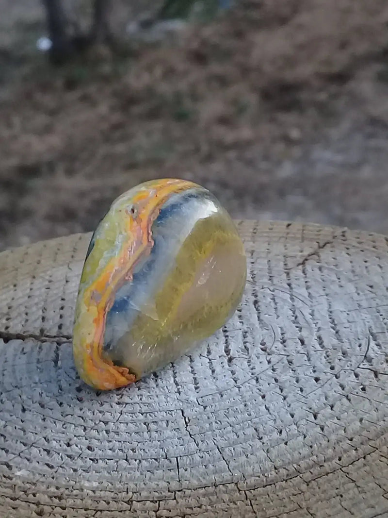 Chargez l&#39;image dans la visionneuse de la galerie, Jaspe Bourdon ou Jaspe Bumble-Bee pierre roulée Grade A ++++ Rare Jaspe Bourdon / Jaspe Bumble-Bee
