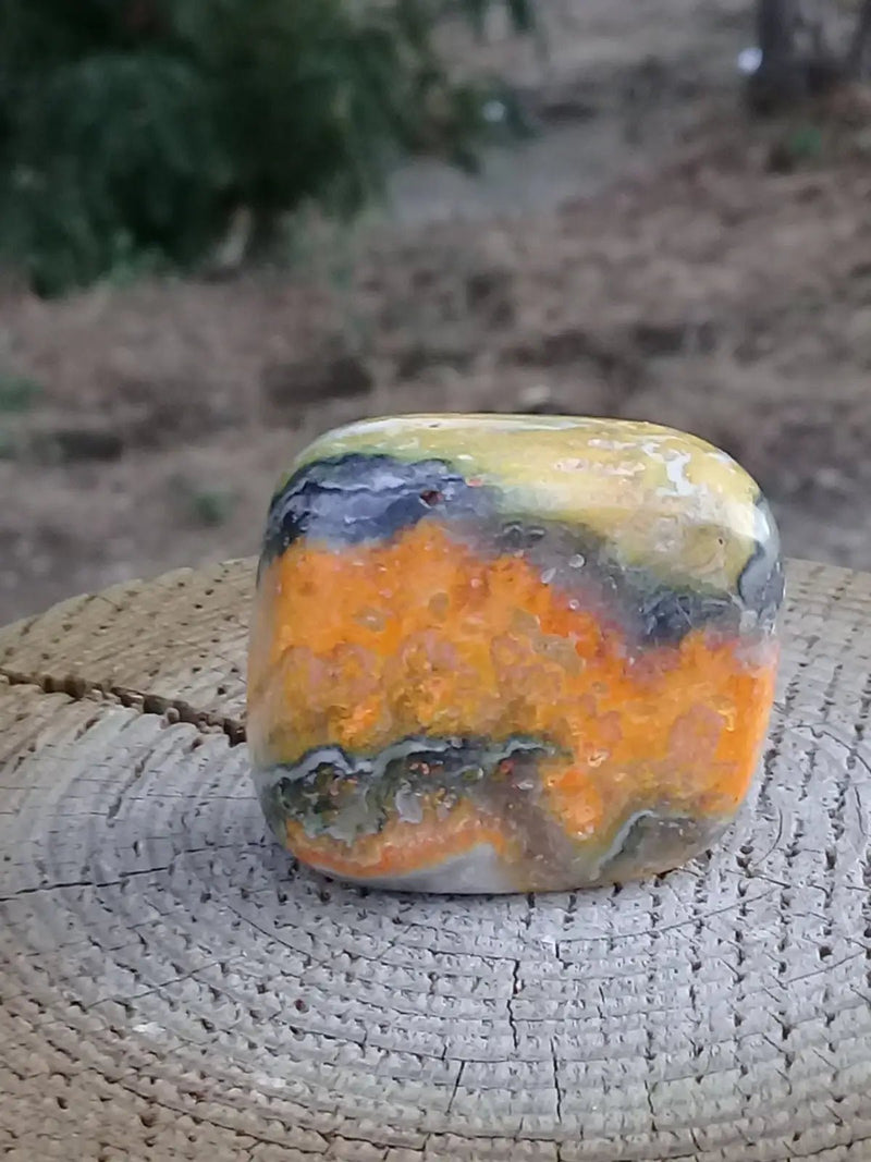 Chargez l&#39;image dans la visionneuse de la galerie, Jaspe Bourdon ou Jaspe Bumble-Bee pierre roulée Grade A ++++ Rare Jaspe Bourdon / Jaspe Bumble-Bee
