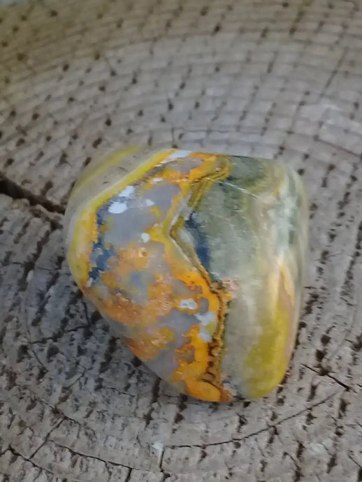 Jaspe Bourdon ou Jaspe Bumble-Bee pierre roulée Grade A ++++ Rare Jaspe Bourdon / Jaspe Bumble-Bee