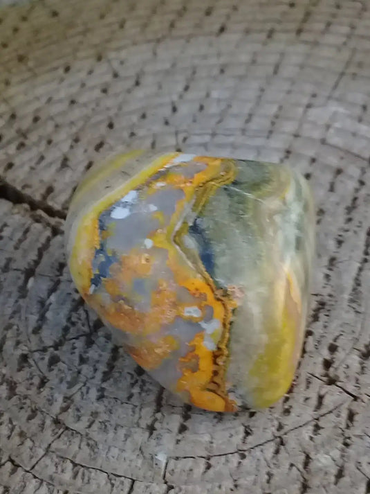 Jaspe Bourdon ou Jaspe Bumble-Bee pierre roulée Grade A ++++ Rare Jaspe Bourdon / Jaspe Bumble-Bee