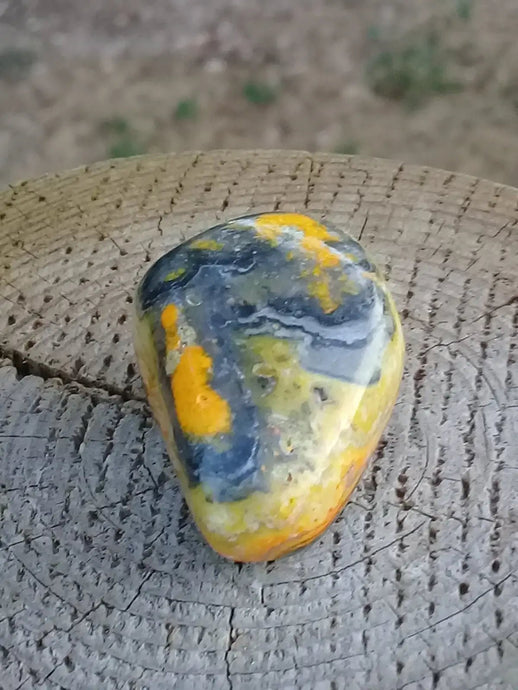 Jaspe Bourdon ou Jaspe Bumble-Bee pierre roulée Grade A ++++ Rare Jaspe Bourdon / Jaspe Bumble-Bee