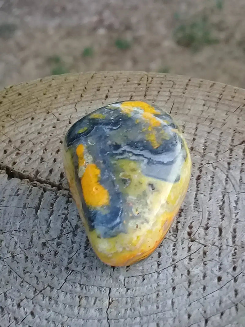 Chargez l&#39;image dans la visionneuse de la galerie, Jaspe Bourdon ou Jaspe Bumble-Bee pierre roulée Grade A ++++ Rare Jaspe Bourdon / Jaspe Bumble-Bee
