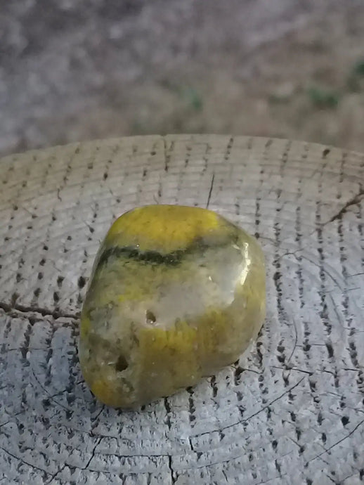 Jaspe Bourdon ou Jaspe Bumble-Bee pierre roulée Grade A +++ Rare Jaspe Bourdon / Jaspe Bumble-Bee