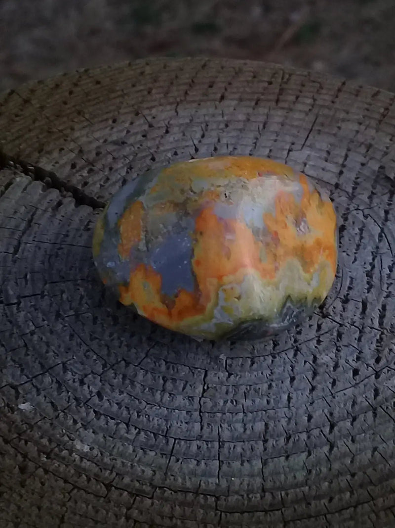 Chargez l&#39;image dans la visionneuse de la galerie, Jaspe Bourdon ou Jaspe Bumble-Bee pierre roulée Grade A ++++ Rare Jaspe Bourdon / Jaspe Bumble-Bee
