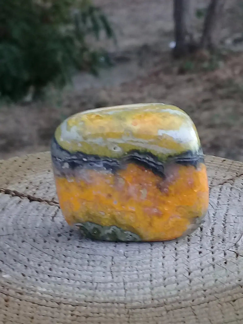 Chargez l&#39;image dans la visionneuse de la galerie, Jaspe Bourdon ou Jaspe Bumble-Bee pierre roulée Grade A ++++ Rare Jaspe Bourdon / Jaspe Bumble-Bee
