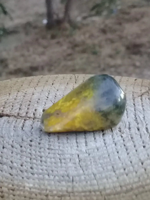 Jaspe Bourdon ou Jaspe Bumble-Bee pierre roulée Grade A +++ Rare Jaspe Bourdon / Jaspe Bumble-Bee