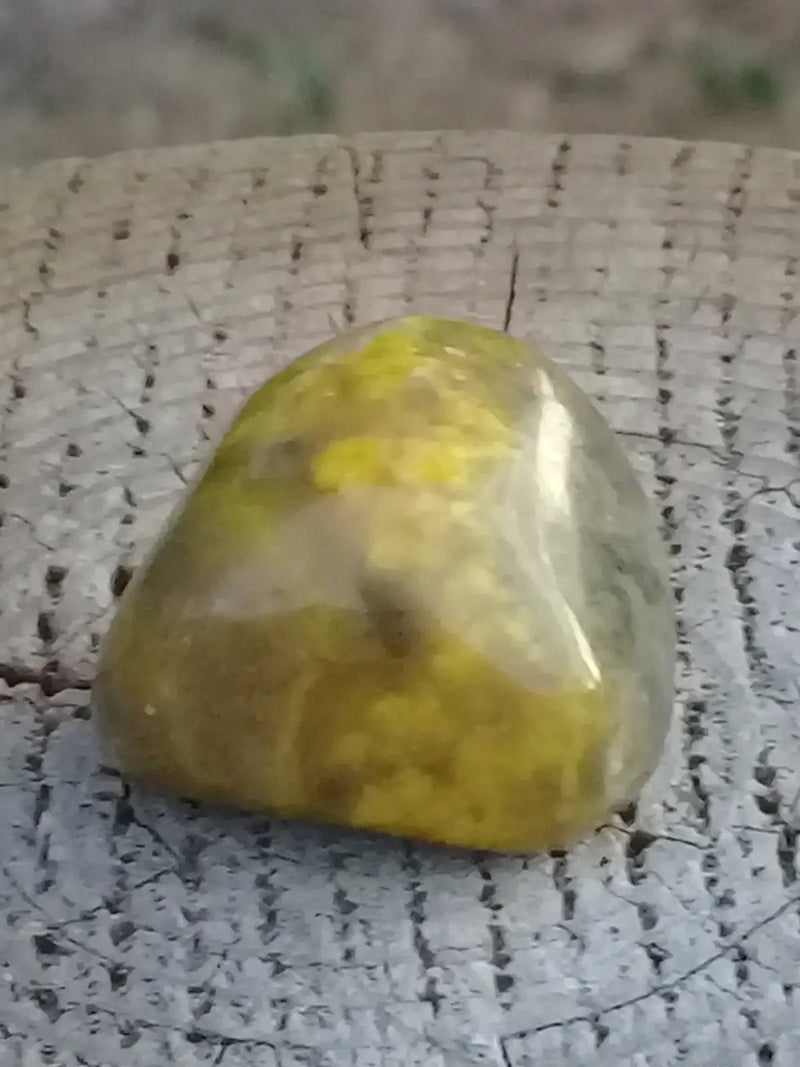 Chargez l&#39;image dans la visionneuse de la galerie, Jaspe Bourdon ou Jaspe Bumble-Bee pierre roulée Grade A +++ Rare Jaspe Bourdon / Jaspe Bumble-Bee
