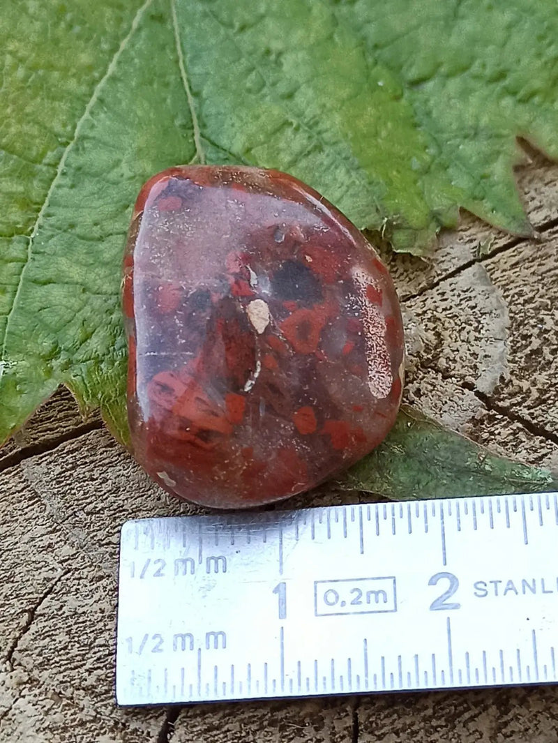 Chargez l&#39;image dans la visionneuse de la galerie, Jaspe Bréchia d’Australie pierre roulée Grade A++++ Jaspe Bréchia pierre roulée
