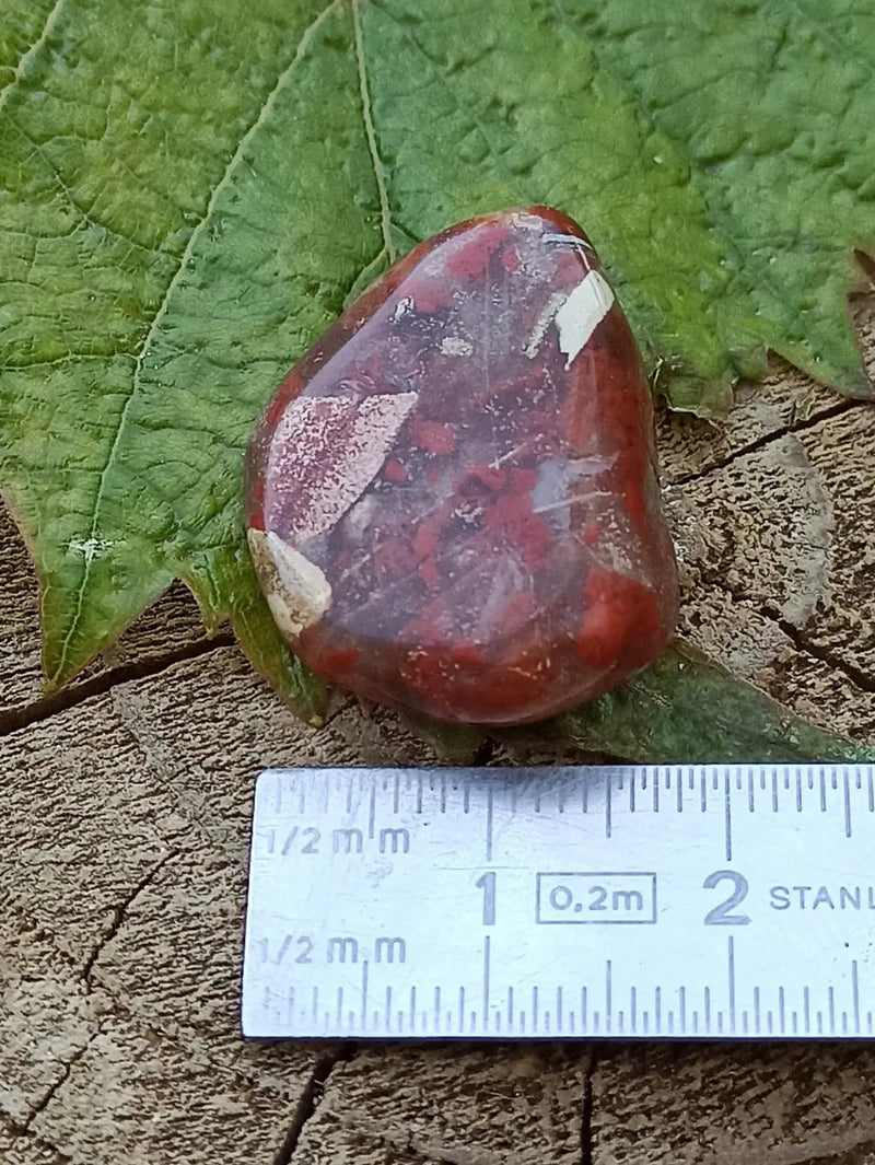 Chargez l&#39;image dans la visionneuse de la galerie, Jaspe Bréchia d’Australie pierre roulée Grade A++++ Jaspe Bréchia pierre roulée
