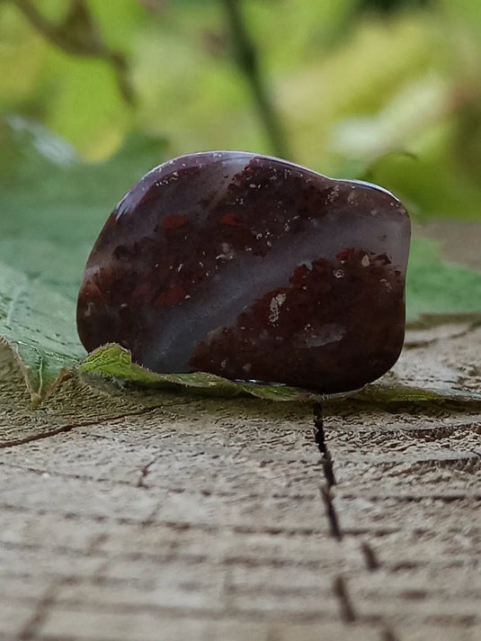 Jaspe Bréchia d’Australie pierre roulée Grade A++++ Jaspe Bréchia pierre roulée