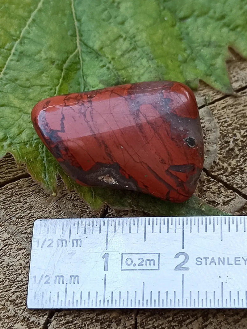 Chargez l&#39;image dans la visionneuse de la galerie, Jaspe Bréchia d’Australie pierre roulée Grade A++++ Jaspe Bréchia pierre roulée
