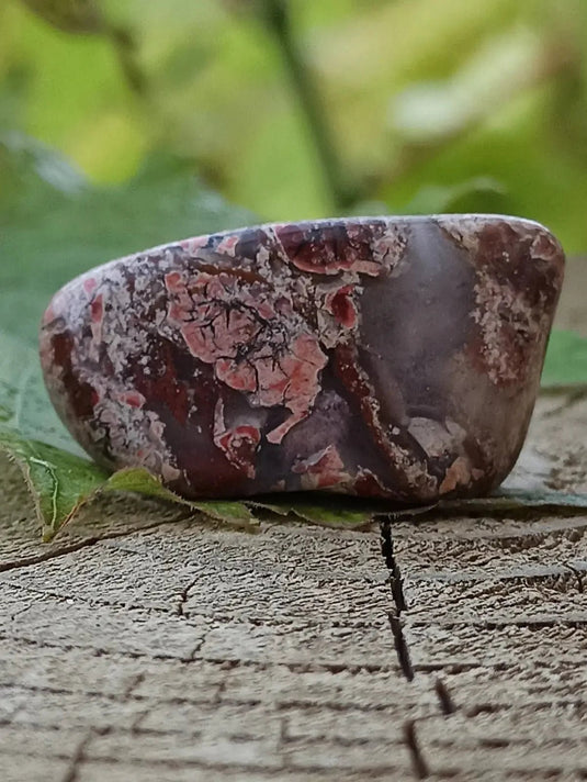 Jaspe Bréchia d’Australie pierre roulée Grade A++++ Jaspe Bréchia pierre roulée