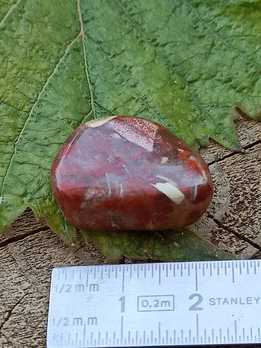 Jaspe Bréchia d’Australie pierre roulée Grade A++++ Jaspe Bréchia pierre roulée