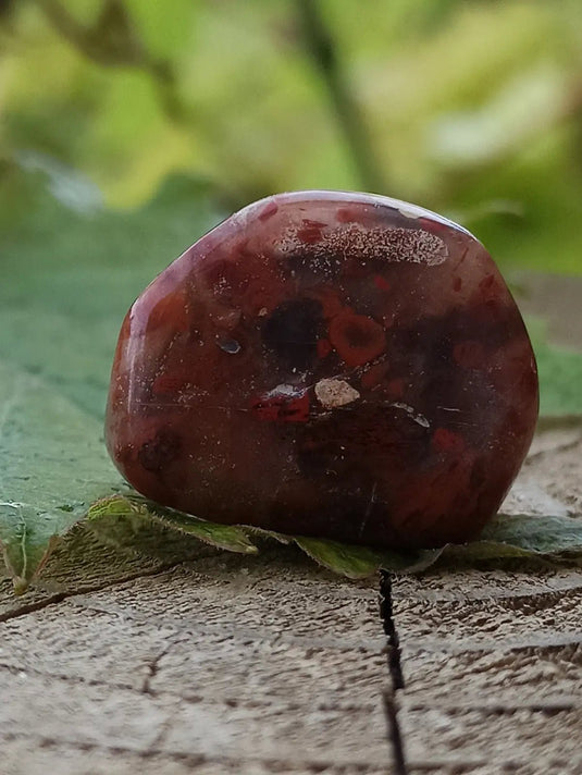 Jaspe Bréchia d’Australie pierre roulée Grade A++++ Jaspe Bréchia pierre roulée