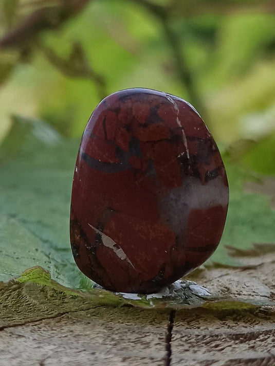 Jaspe Bréchia d’Australie pierre roulée Grade A++++ Jaspe Bréchia pierre roulée