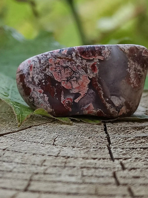 Jaspe Bréchia d’Australie pierre roulée Grade A++++ Jaspe Bréchia pierre roulée