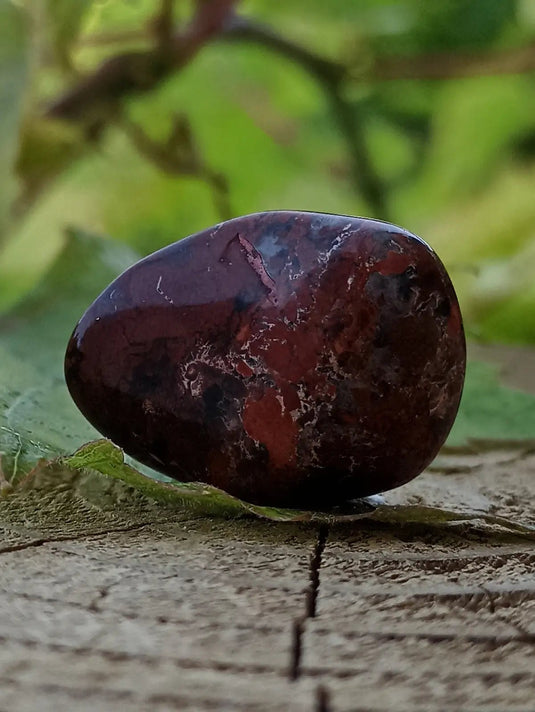 Jaspe Bréchia d’Australie pierre roulée Grade A++++ Jaspe Bréchia pierre roulée