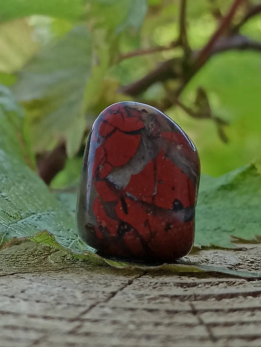 Jaspe Bréchia d’Australie pierre roulée Grade A++++ Jaspe Bréchia pierre roulée