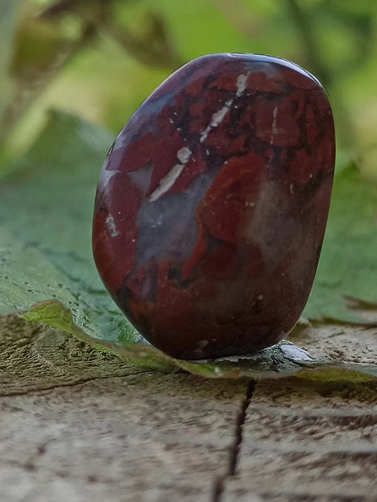 Jaspe Bréchia d’Australie pierre roulée Grade A++++ Jaspe Bréchia pierre roulée