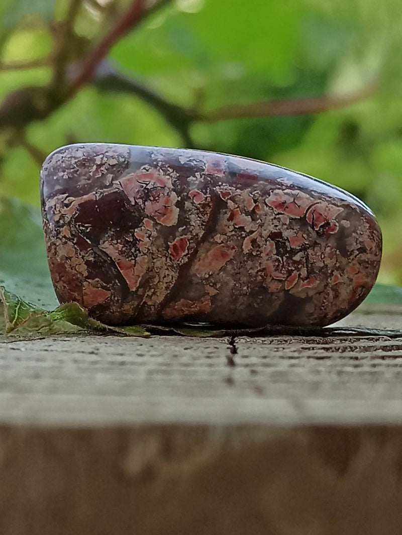 Load image into Gallery viewer, Jaspe Bréchia d’Australie pierre roulée Grade A++++ Jaspe Bréchia pierre roulée Dans la besace du p&#39;tit Poucet   
