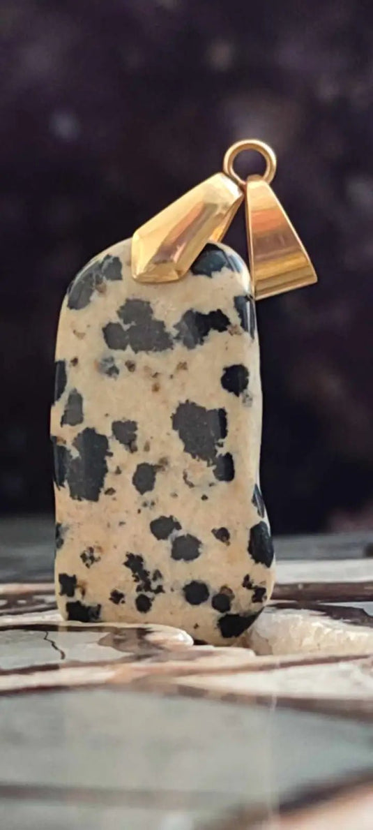 Jaspe dalmatien du Brésil pendentif Grade A++++ (fourni avec cordon) Jaspe dalmatien pendentif