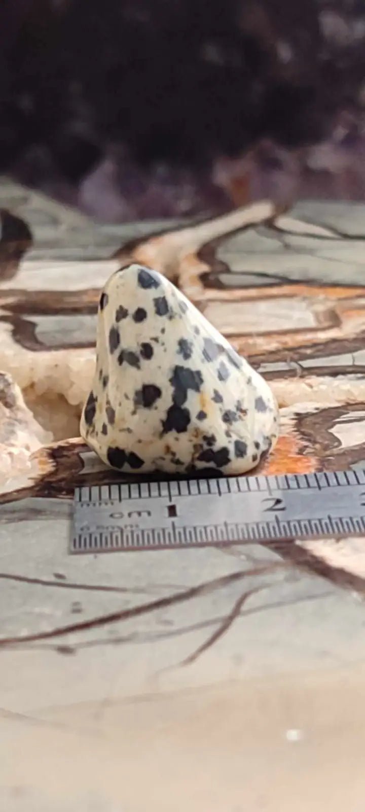 Load image into Gallery viewer, Jaspe dalmatien du Brésil pierre roulée Grade A++++ Jaspe dalmatien pierre roulée
