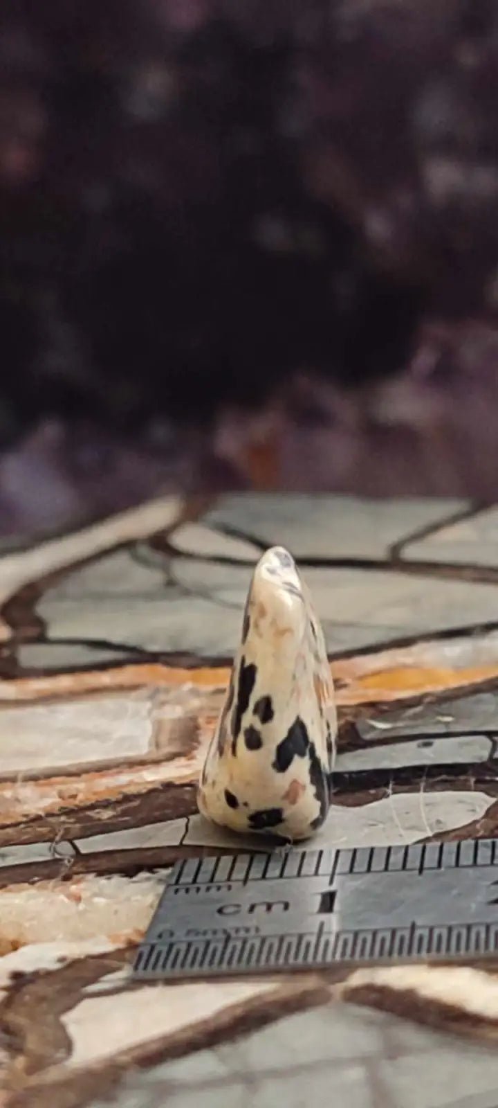 Chargez l'image dans la visionneuse de la galerie, Jaspe dalmatien du Brésil pierre roulée Grade A++++ Jaspe dalmatien pierre roulée
