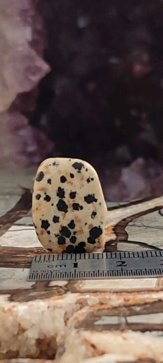 Jaspe dalmatien du Brésil pierre roulée Grade A++++ Jaspe dalmatien pierre roulée