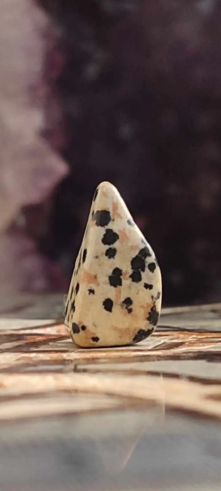 Load image into Gallery viewer, Jaspe dalmatien du Brésil pierre roulée Grade A++++ Jaspe dalmatien pierre roulée
