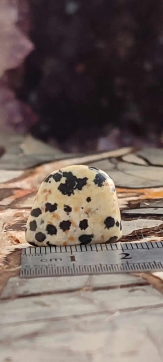 Jaspe dalmatien du Brésil pierre roulée Grade A++++ Jaspe dalmatien pierre roulée