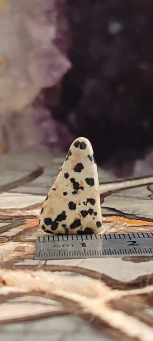 Jaspe dalmatien du Brésil pierre roulée Grade A++++ Jaspe dalmatien pierre roulée