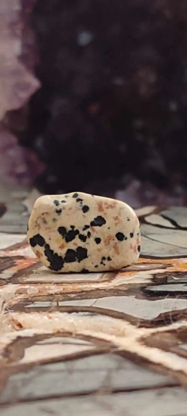 Chargez l'image dans la visionneuse de la galerie, Jaspe dalmatien du Brésil pierre roulée Grade A++++ Jaspe dalmatien pierre roulée
