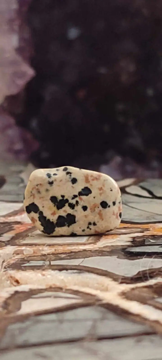 Jaspe dalmatien du Brésil pierre roulée Grade A++++ Jaspe dalmatien pierre roulée