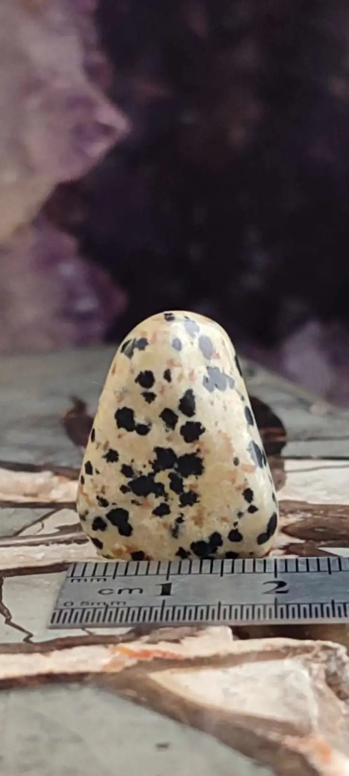 Load image into Gallery viewer, Jaspe dalmatien du Brésil pierre roulée Grade A++++ Jaspe dalmatien pierre roulée
