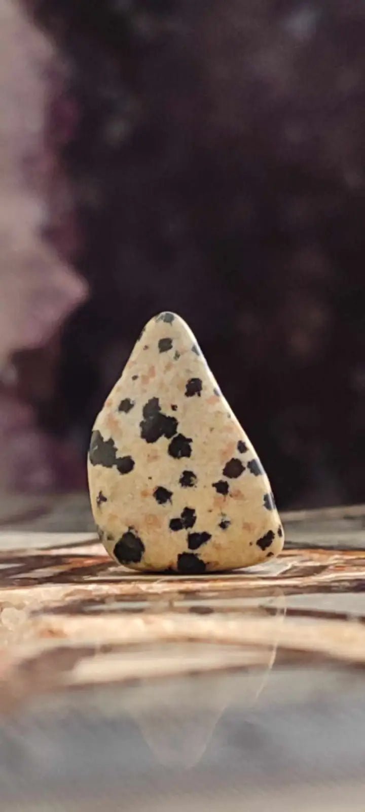 Load image into Gallery viewer, Jaspe dalmatien du Brésil pierre roulée Grade A++++ Jaspe dalmatien pierre roulée
