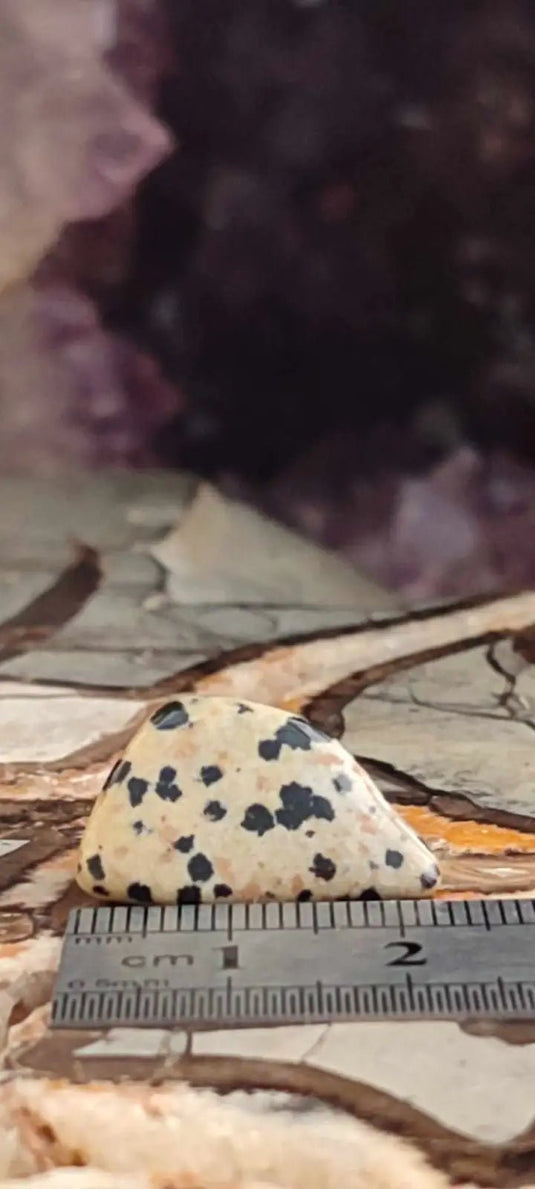 Jaspe dalmatien du Brésil pierre roulée Grade A++++ Jaspe dalmatien pierre roulée