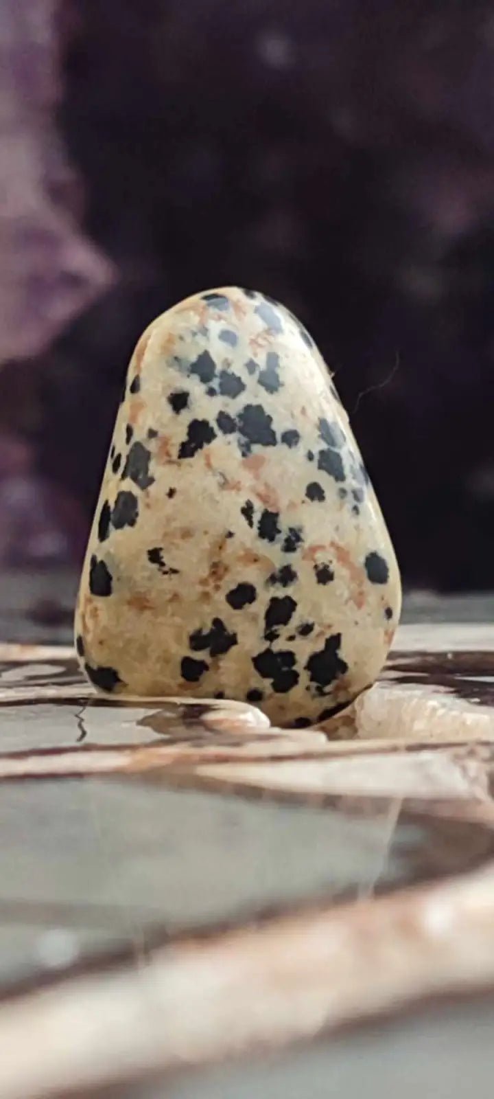 Load image into Gallery viewer, Jaspe dalmatien du Brésil pierre roulée Grade A++++ Jaspe dalmatien pierre roulée
