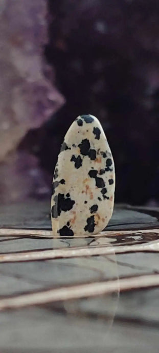 Jaspe dalmatien du Brésil pierre roulée Grade A++++ Jaspe dalmatien pierre roulée