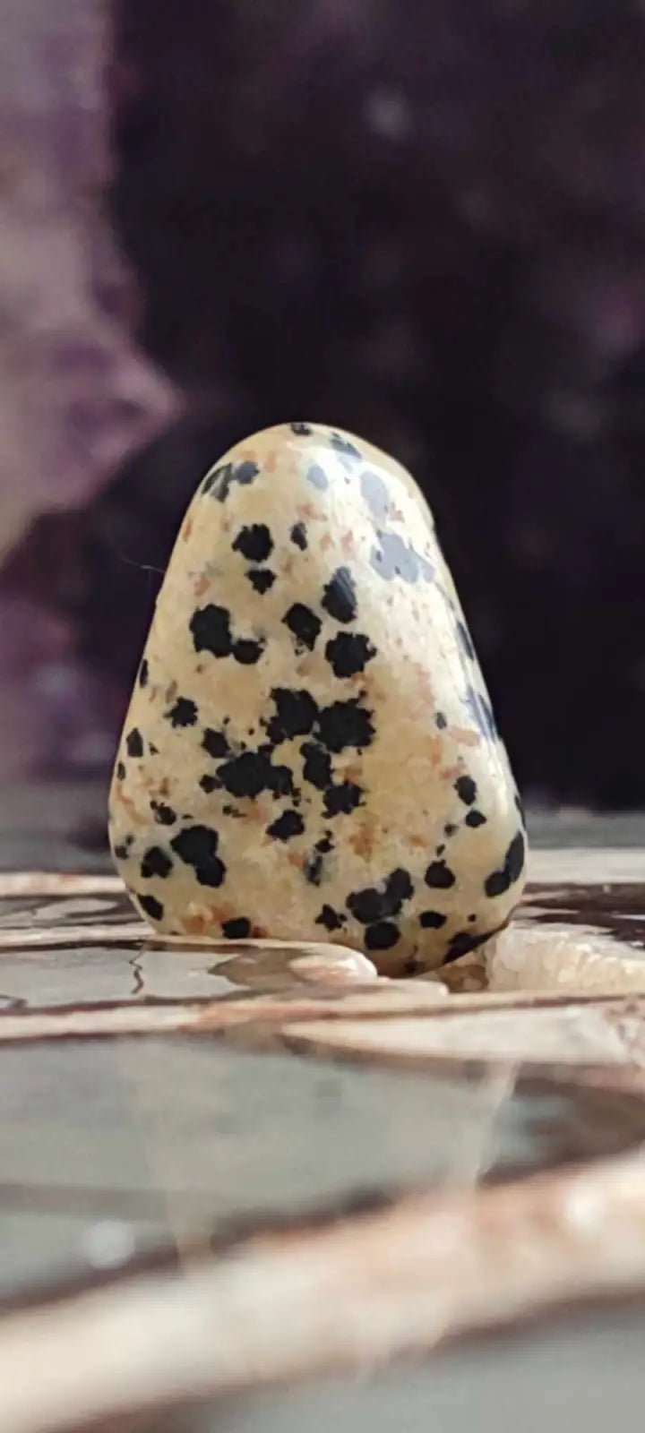 Load image into Gallery viewer, Jaspe dalmatien du Brésil pierre roulée Grade A++++ Jaspe dalmatien pierre roulée
