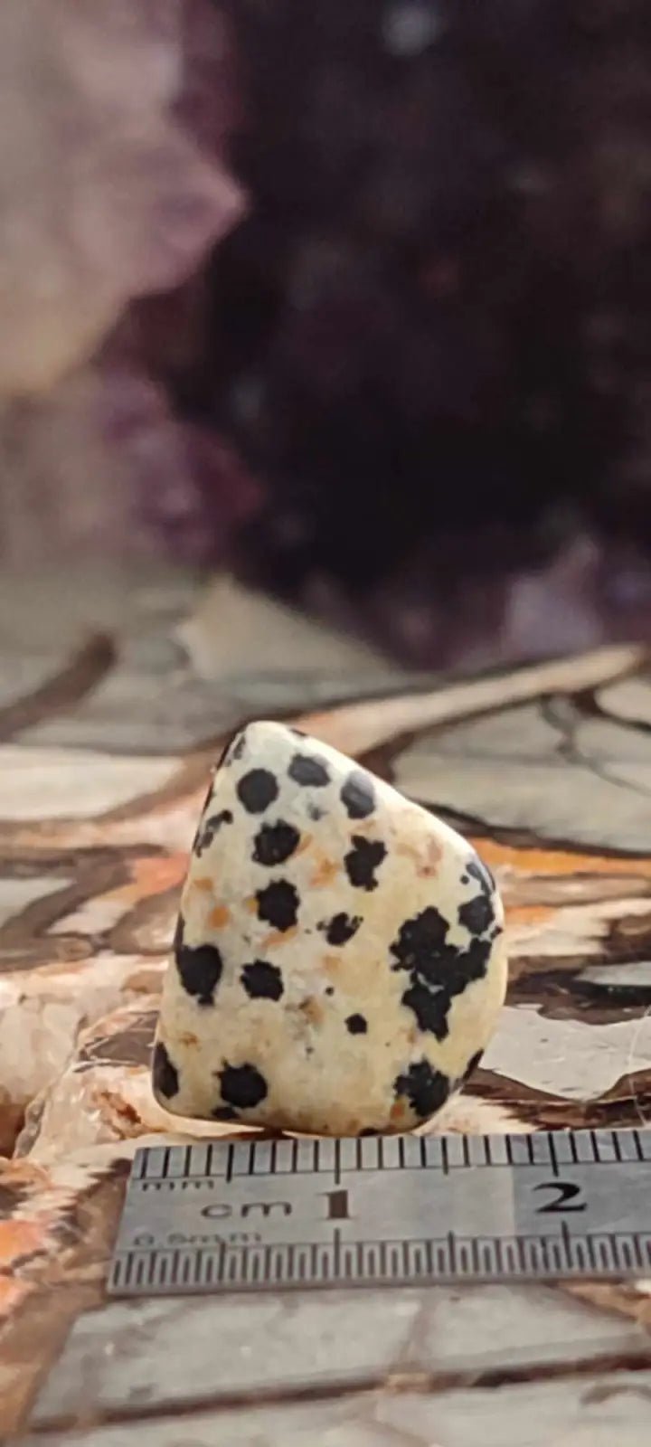 Load image into Gallery viewer, Jaspe dalmatien du Brésil pierre roulée Grade A++++ Jaspe dalmatien pierre roulée
