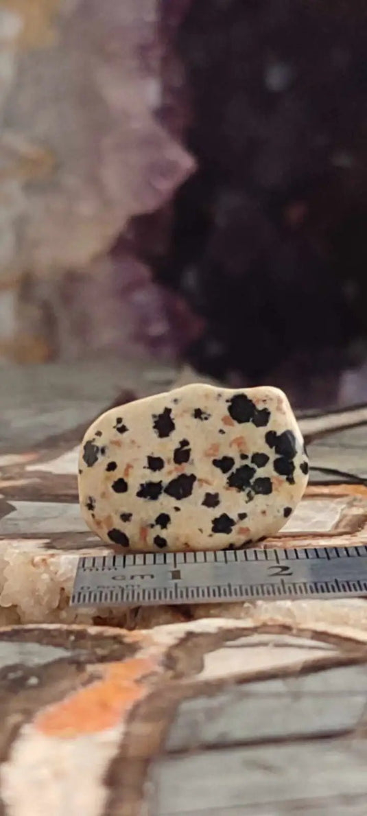 Jaspe dalmatien du Brésil pierre roulée Grade A++++ Jaspe dalmatien pierre roulée