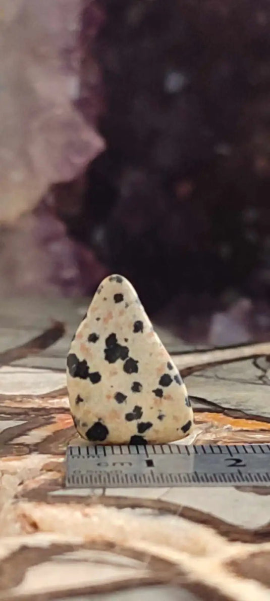 Jaspe dalmatien du Brésil pierre roulée Grade A++++ Jaspe dalmatien pierre roulée