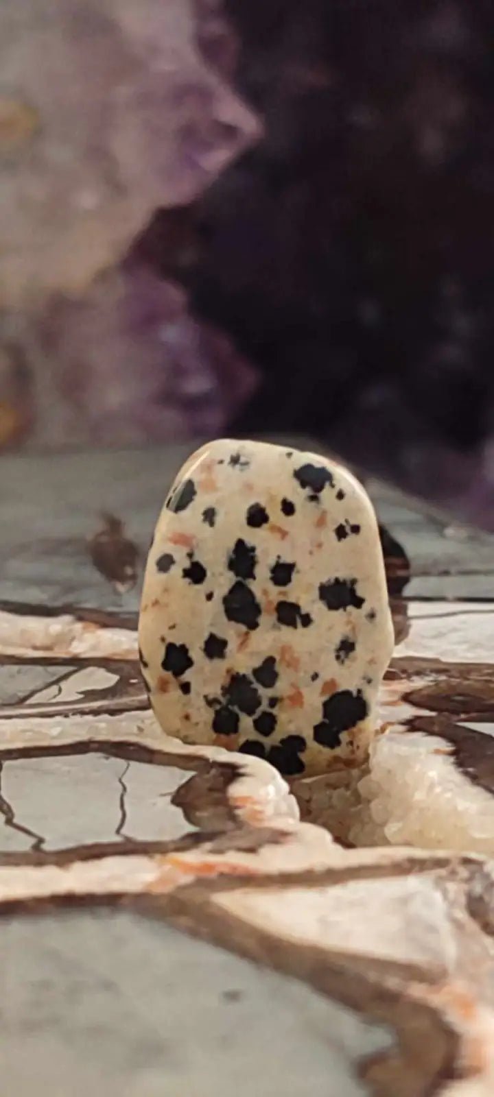 Chargez l'image dans la visionneuse de la galerie, Jaspe dalmatien du Brésil pierre roulée Grade A++++ Jaspe dalmatien pierre roulée
