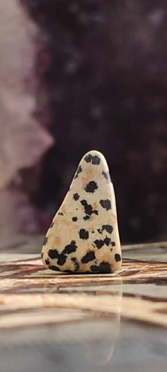 Jaspe dalmatien du Brésil pierre roulée Grade A++++ Jaspe dalmatien pierre roulée