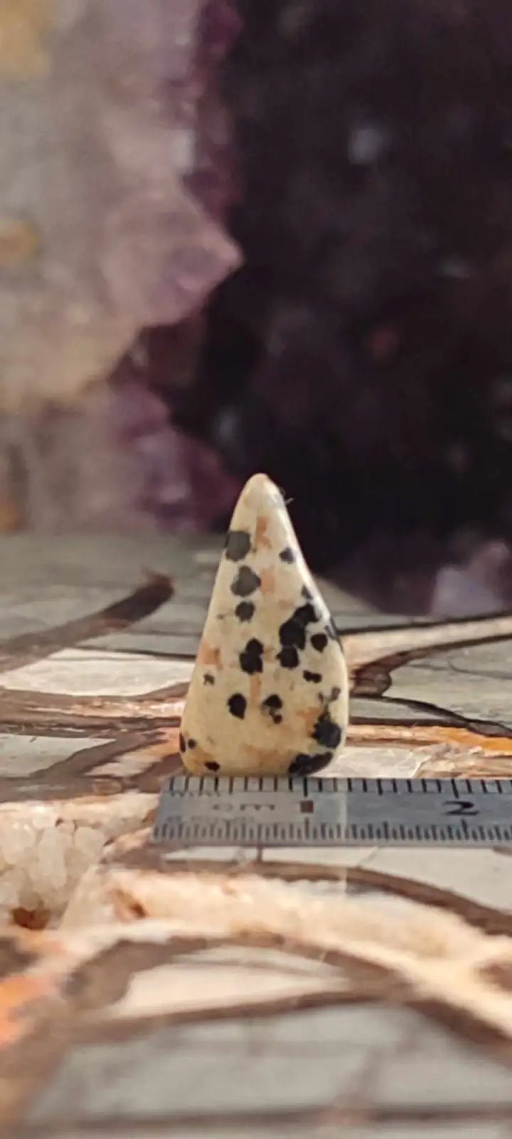 Load image into Gallery viewer, Jaspe dalmatien du Brésil pierre roulée Grade A++++ Jaspe dalmatien pierre roulée
